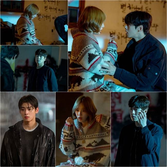 MBC ‘오늘도 사랑스럽개’ 제공