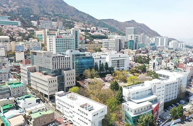 [부산=뉴시스] 부산 사상구 경남정보대학교. (사진=경남정보대 제공)  *재판매 및 DB 금지