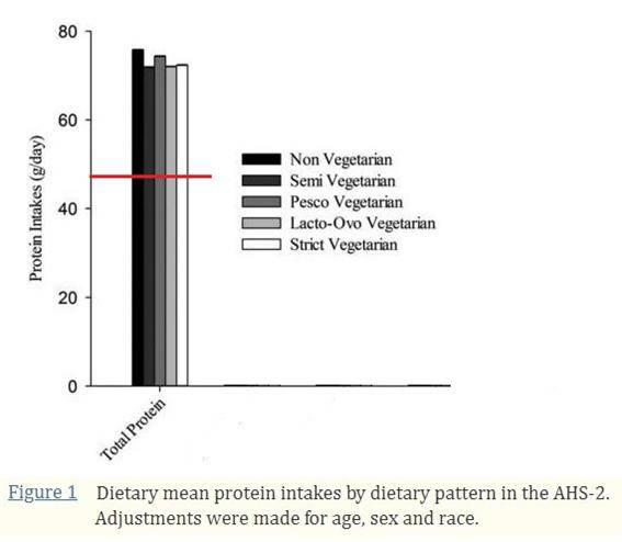 [사진=송무호 제공]