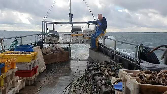 23일(현지시각) 영국 북동부 북해 연안 노퍽코스트. 선장 나이절(52)