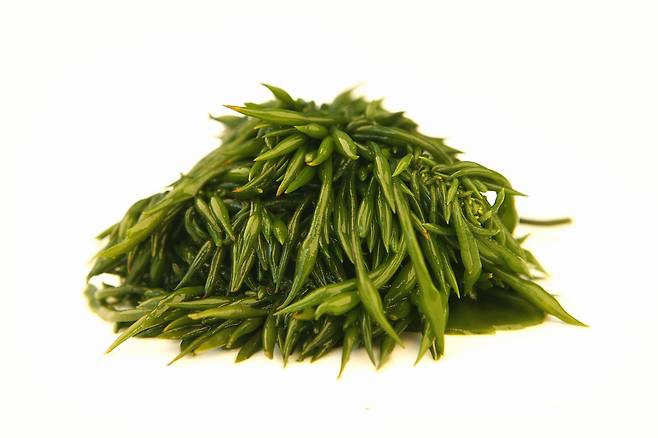 섬유질을 충분히 섭취해 장내 유익균을 늘리는 게 면역력 향상에 도움이 된다./사진=클립아트코리아