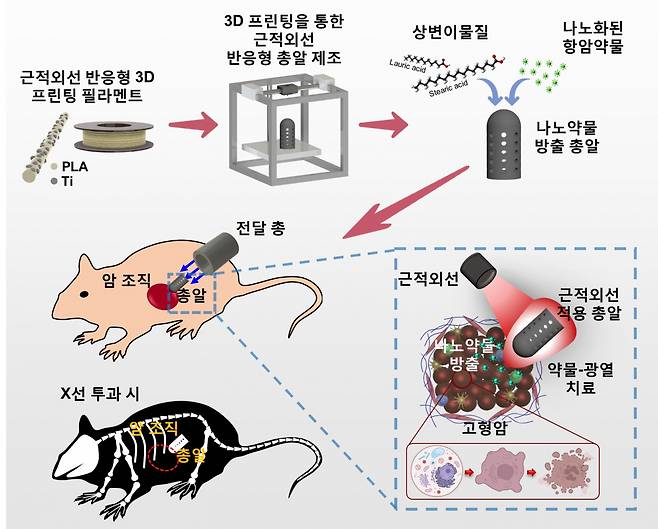 근적외선 유발 약물-광열 치료를 위한 3D 프린팅 나노약물 방출 총알 개요도.[가톨릭대학교 제공]