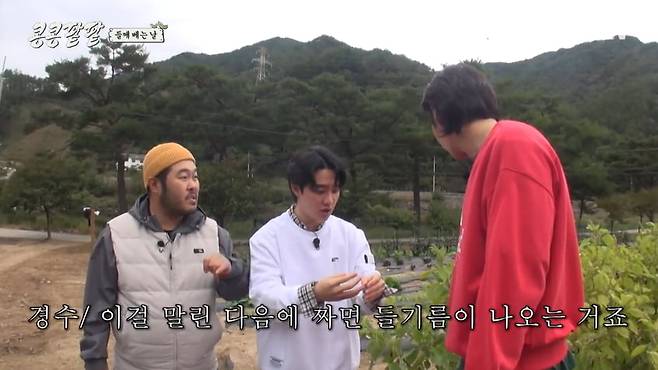 사진=tvN 예능 '콩 심은 데 콩 나고 팥 심은 데 팥 난다' 방송 캡처본.