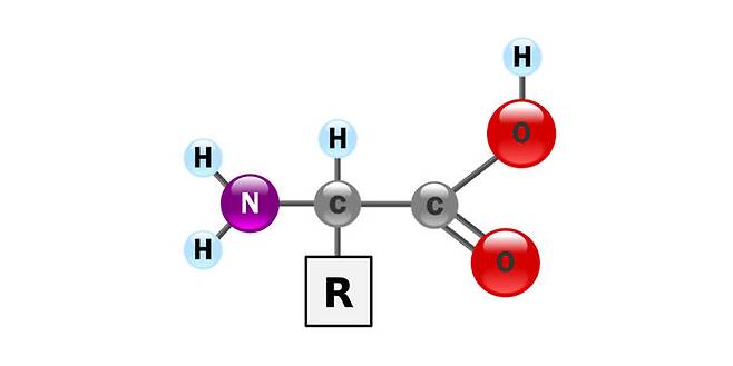 출처: 위키피디아