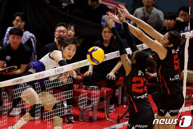 23일 광주 염주체육관에서 열린 2023-24 도드림 V-리그 여자부 현대건설과 페퍼저축은행의 경기에서 현대건설 정지윤이 공격을 펼치고 있다. 현대건설은 3대0으로 페퍼저축은행을 누르고 승점 3점을 확보, GS칼텍스를 따돌리고 2위로 올라섰다. (현대건설 배구단 제공) 2023.11.23/뉴스1