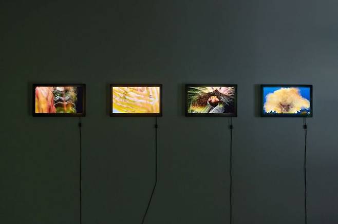 Soil mixing, 2023_Photo (c)Jinsol Kim.[사진제공 = 전시공간 리플랫]