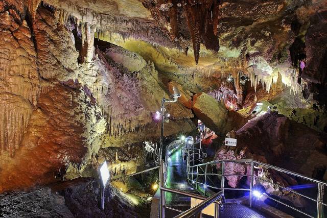 ▲ 도심속에 위치한 동해 천곡황금박쥐동굴에 청소년 단체 관람객수가 지난해 299명이던 것이 올들어 12월 4일까지 1195명으로 급격히 증가했다.