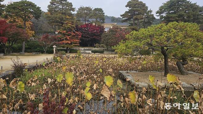 한국 정원의 절제미와 감각을 한껏 드러내는 경기 용인 호암미술관 희원. 용인=김선미 기자