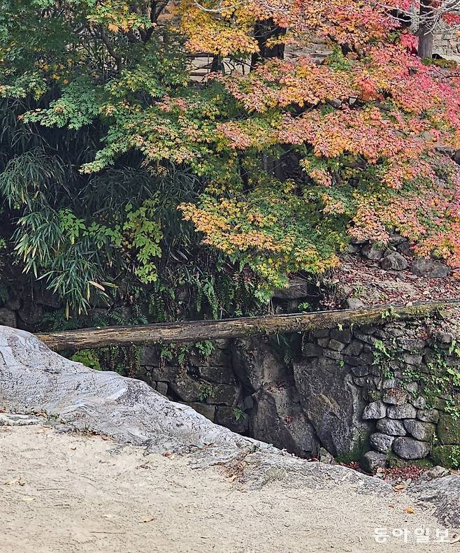 소쇄원 위쪽 계곡물을 다른 쪽으로 나눠 돌리기 위해  가운데를 판 통나무를 놓아 물길을 만든 모습. 담양=김선미 기자