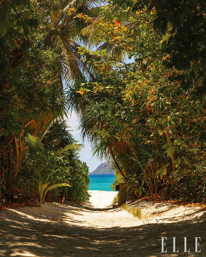 파말리칸 섬을 통째로 차지한 아만풀로의 자연.