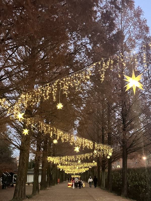 담양 메타랜드에 설치된 크리스마스 장식 / 사진=담양군 제공