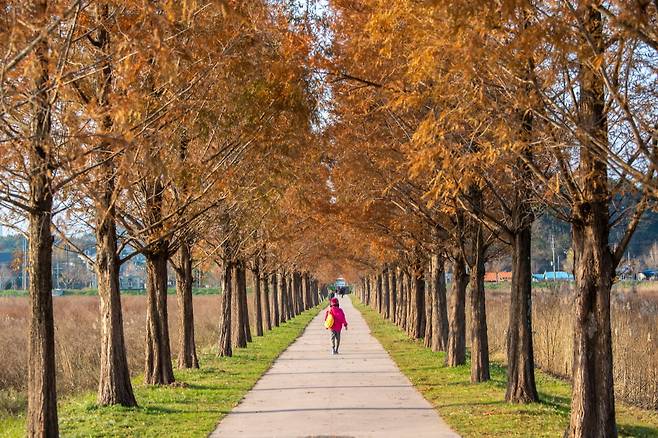 경포생태저류지