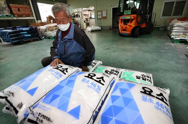 지난 2021년 10월 요소수 품귀 현상이 지속되면서 수급 차질이 이어지고 있는 가운데 농가에도 비상이 걸리면서 대전 유성구에 위치한 한 농협에서 농민이 요소 비료를 사고 있다. 이 농협은 조합원에 한해 요소 비료 판매량을 1인 1포대로 제한하고 있다. /신현종 기자