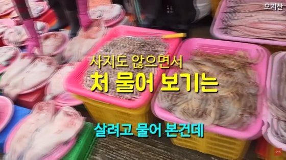 인천 소래포구 어시장에서 가격을 묻는 손님에 막말하는 상인. 사진 유튜브 채널 '오지산' 캡처