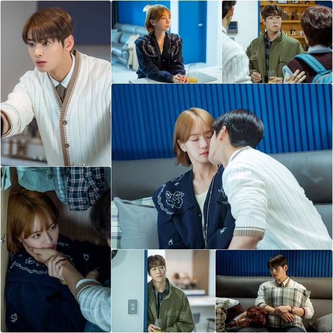 MBC ‘오늘도 사랑스럽개’ 제공