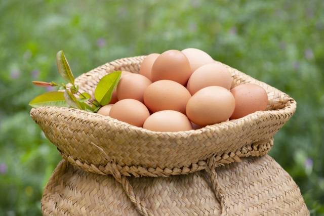 사진=이미지투데이