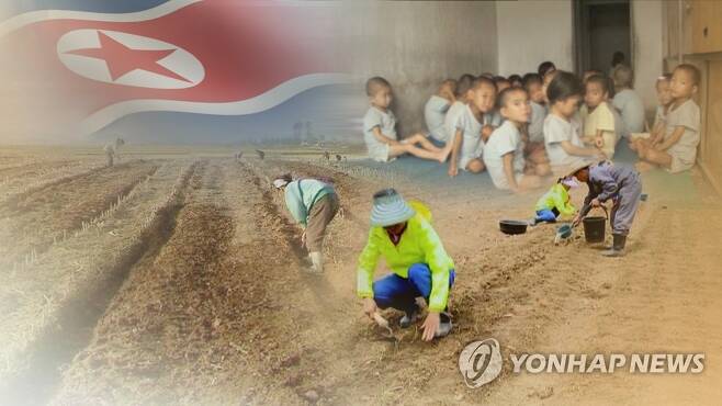 북한 식량난(CG) [연합뉴스TV 제공]