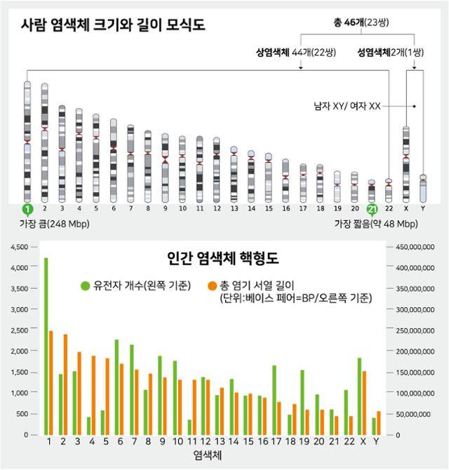 그래픽=강준구기자
