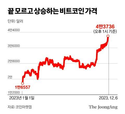 김영희 디자이너
