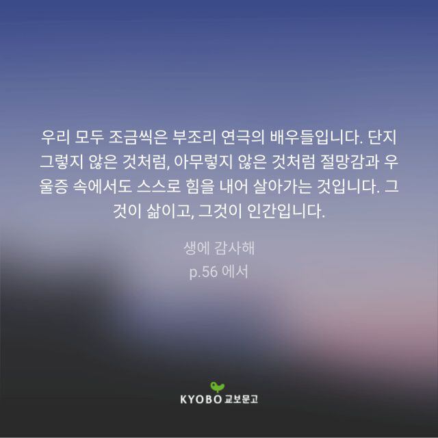 김혜자의 쓴 문장 /교보문고