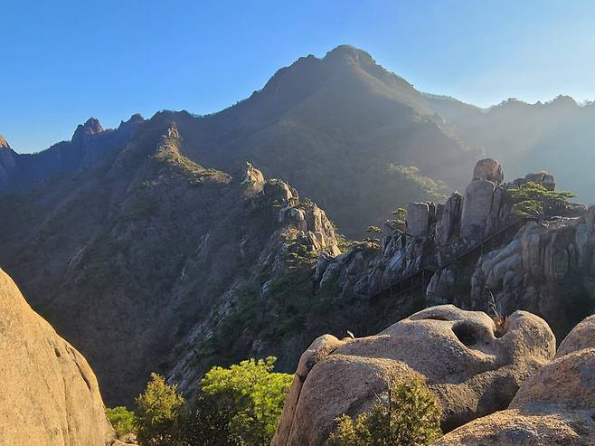 월출산 산성대 코스에서 바라본 천황봉. 공룡의 등처럼 거친 산줄기가 천황봉에서 내려오는 걸 볼 수 있다.