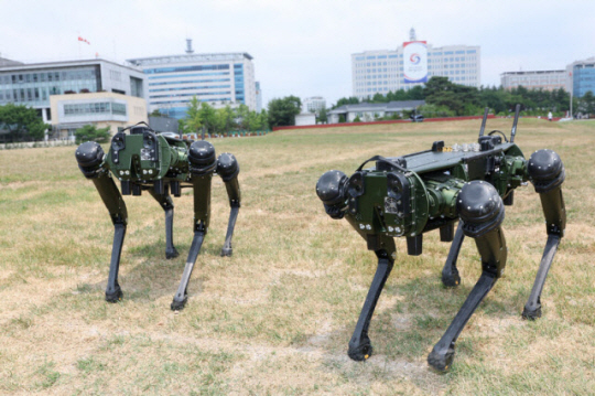 지난 6월 미국 로봇업체 고스트로보틱스의 로봇개가 서울 용산공원에서 대통령 집무실 경호용으로 쓰이고 있다. 연합뉴스