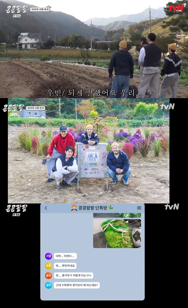 콩콩팥팥 / 사진=tvN 방송 캡처