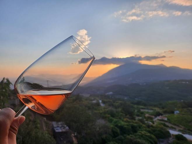 그리스 사모스섬과 로제 와인. [사진=전형민 기자]