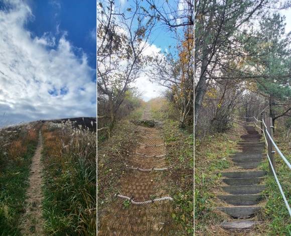 정물오름 가는 완만한(왼쪽) 길과 험한 계단(오른쪽)의 가파른 길. 제주 강동삼 기자