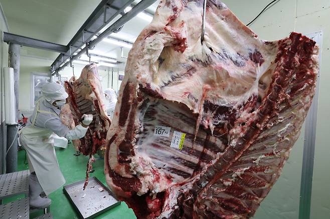 발골·정형 작업장에서 작업자들이 한우 지육을 발골하고 있다.