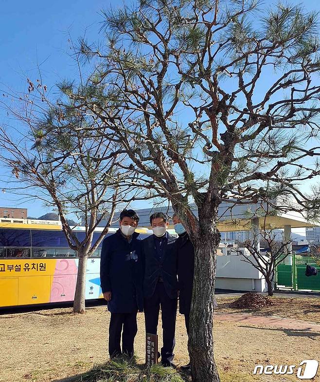 정선엽 병장 기념식수를 심은 동신고 동문들이 기념촬영을 하고 있다.(왼쪽부터 김병태, 이인곤, 정형윤씨)2021.12.13./뉴스1