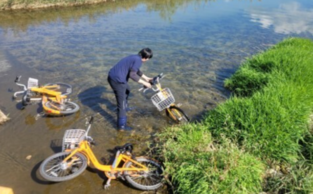 대전지역 하천에 버려진 타슈를 대전교통공사 직원이 건져내고 있다. 대전시 제공