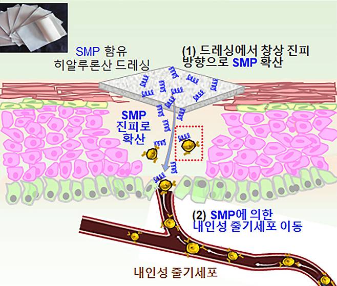 [아주대 제공]