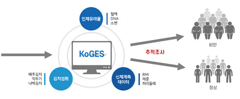 연구 모식도. / 사진=세계김치연구소