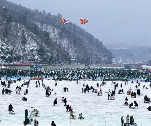 온라인 커뮤니티