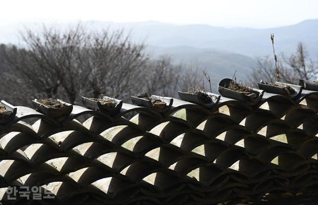 경북 칠곡 팔공산 자락 도덕암. 기와로 쌓은 담장에 햇살이 비쳐 기하학적 무늬로 보인다.
