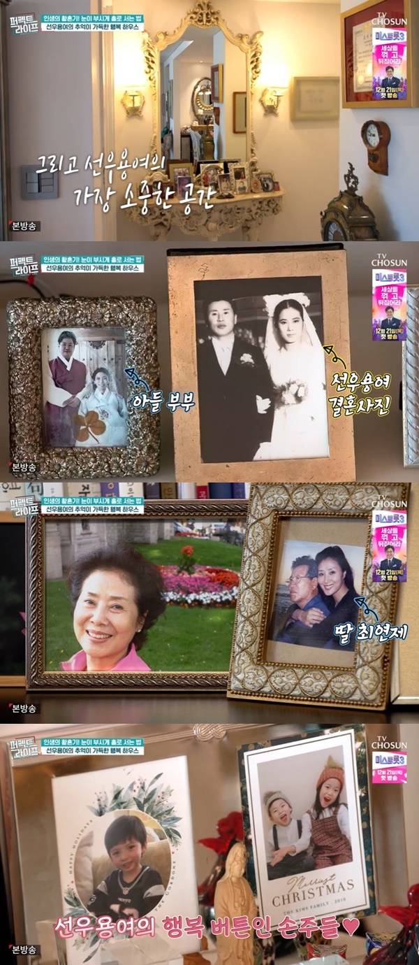 TV조선 ‘퍼펙트라이프’ 캡처