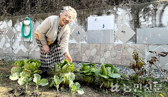 충북 영동으로 귀촌한 배우 주부진씨는 집 앞 마당에서 배추를 키우며 전원생활을 즐긴다.