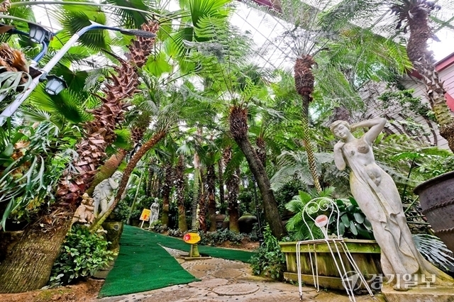 국내외 다양한 허브 및 식물이 자라고 있는 허브 식물 박물관 내부 모습. 윤원규기자·허브아일랜드 제공