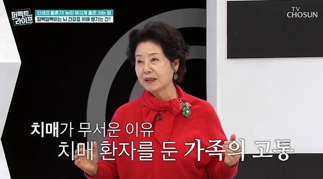 /사진=TV조선 '퍼펙트 라이프' 방송 화면