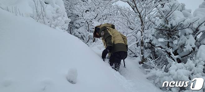 설악산 고지대 탐방로에 쌓인 눈.(설악산국립공원사무소 제공) 2023.12.15/뉴스1