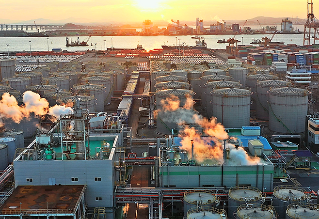 DS단석의 경기 평택1공장. /홈페이지 캡처