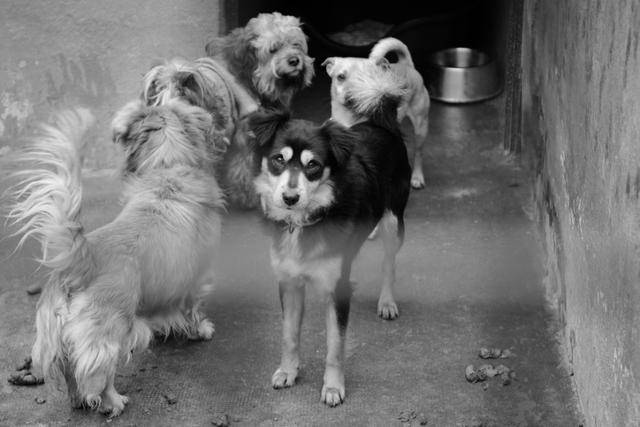 사진은 기사와 관련 없음. 게티이미지뱅크