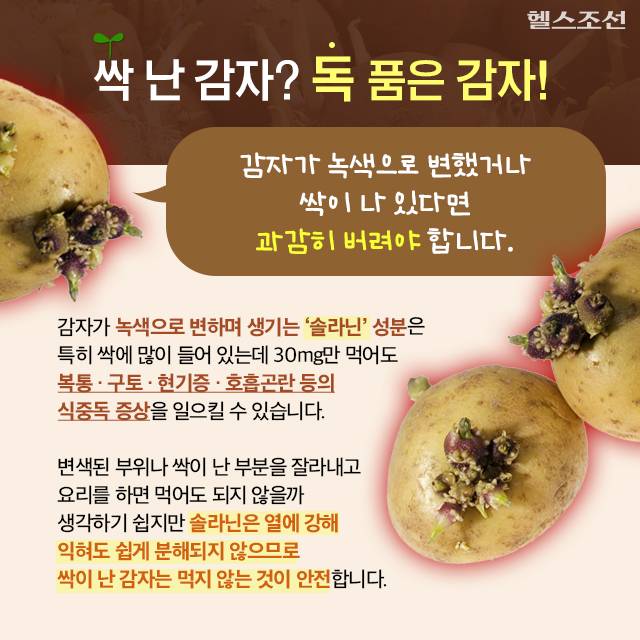 사진=헬스조선DB