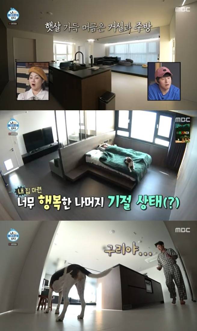 MBC '나 혼자 산다' 캡처