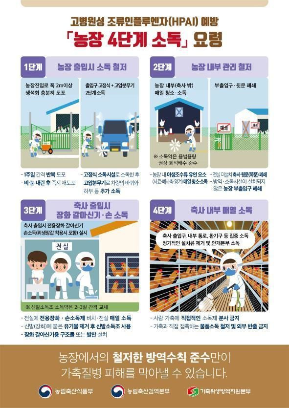 [세종=뉴시스] 고병원성 조류인플루엔자 농장 4단계 소독 요령. *재판매 및 DB 금지