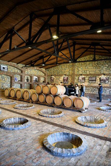 바지아니 크베브리.