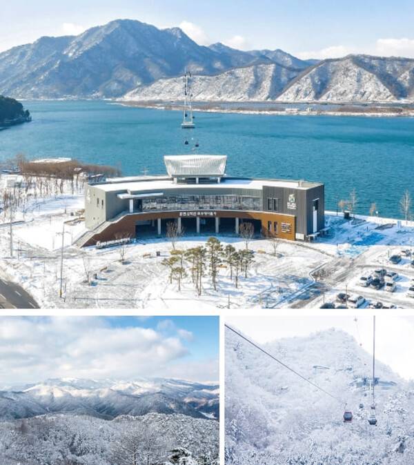 온라인 커뮤니티