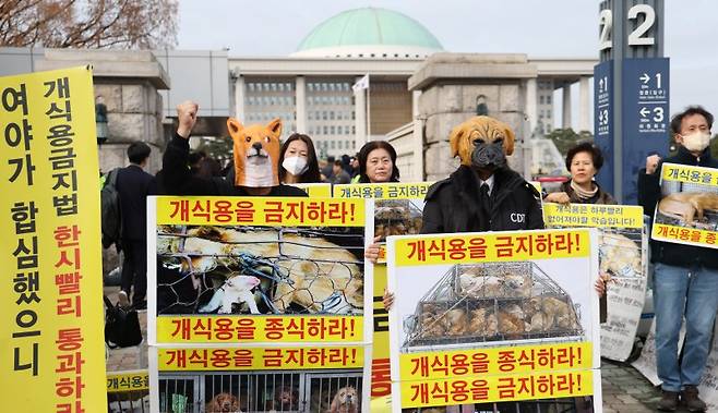 한국동물보호연합과 1500만반려인연대, 캣치독 회원들이 지난 13일 오후 서울 여의도 국회 앞에서 '개식용 금지법 국회 농해수위 법안 소위 통과 환영' 기자회견을 한 후 퍼포먼스를 하고 있다. /사진=뉴시스