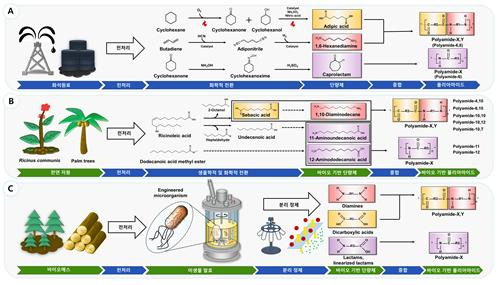 바이오 기반 폴리아마이드 생산 모식도 [KAIST 제공. 재판매 및 DB 금지]